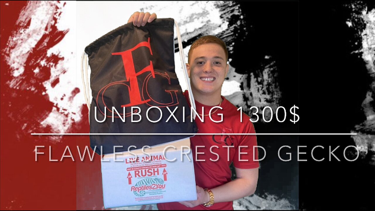 UNBOXING 1300$ Flawless crested gecko!!