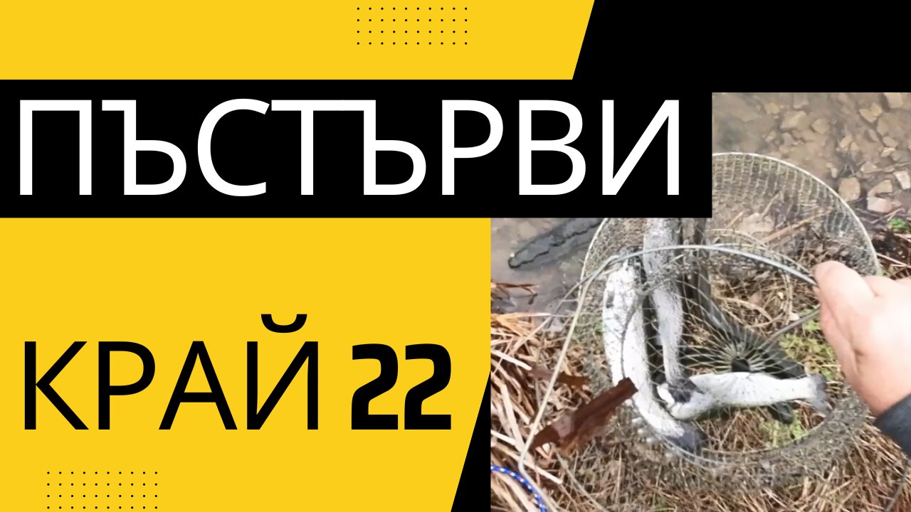Последни пъстърви за 22ра - Last trout for the 22nd