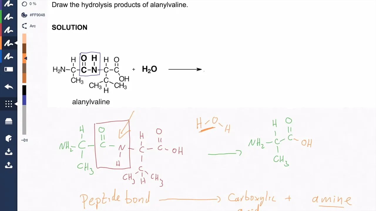 The Peptide Bond Hydrolysis: Protein Chemistry Video