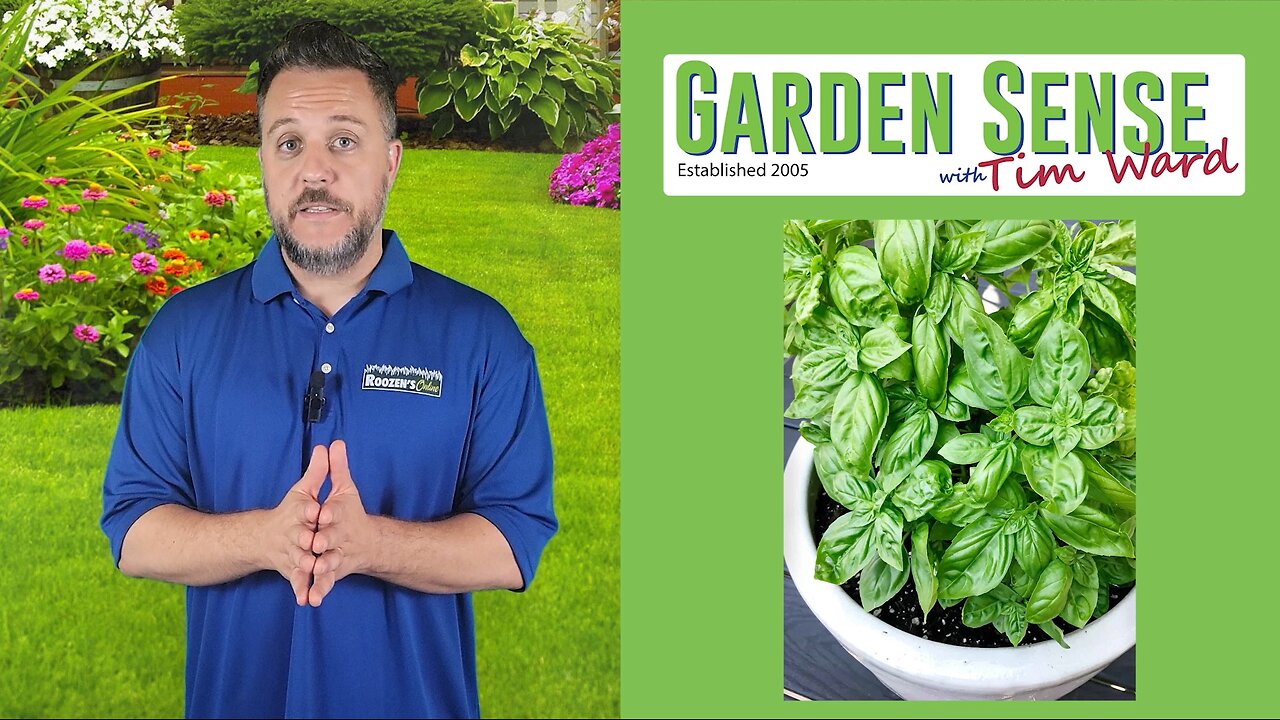 Garden Sense with Tim Ward - 07.24.24