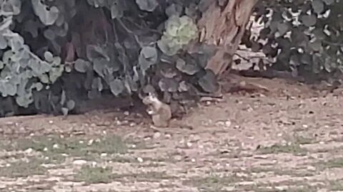LIVE IN FONTANA CALIFORNIA UNITED STATES OF AMERICA