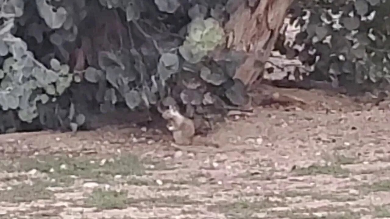 LIVE IN FONTANA CALIFORNIA UNITED STATES OF AMERICA