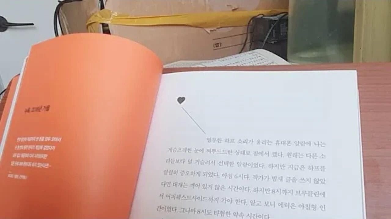 블러프, 마리아 코니코바, 포커, 고수, 바바아냐, 체스, 액션댄, 백개먼,토너먼트,뉴욕,어퍼웨스트사이드