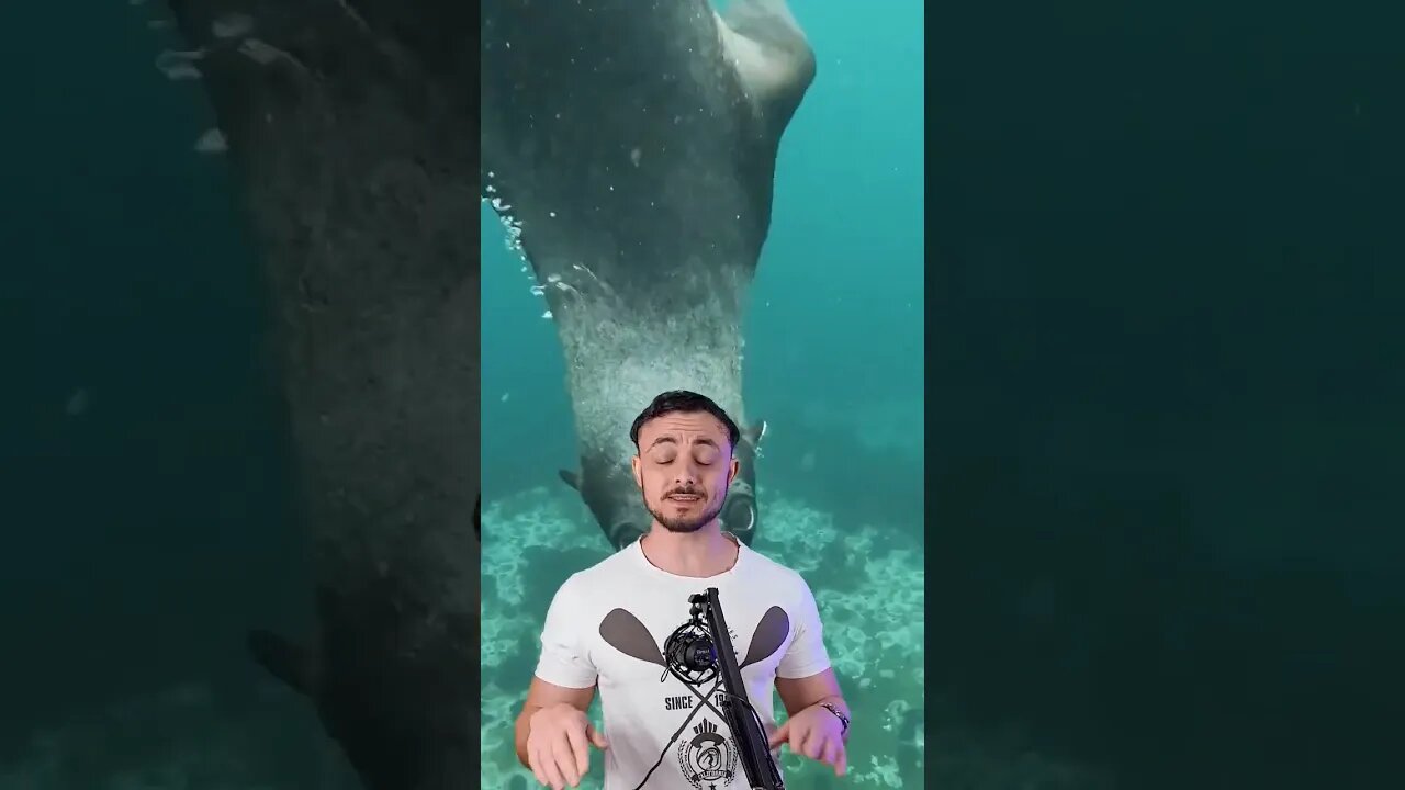 fatos sobre o oceano que vc não sabia