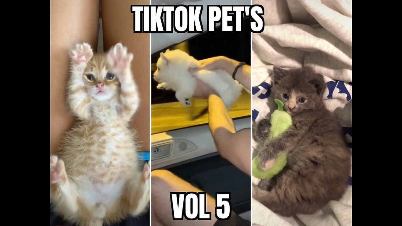 Tiktok pet's vol 5