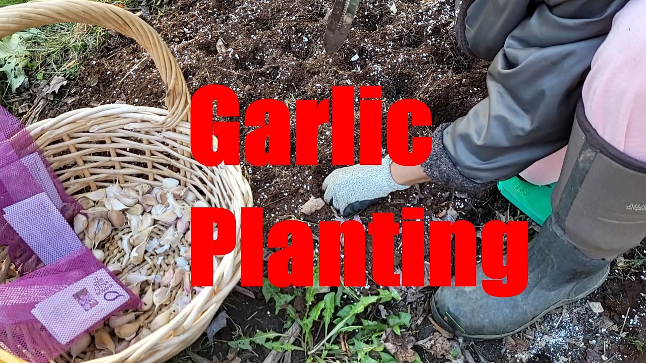 Garlic Only🧄