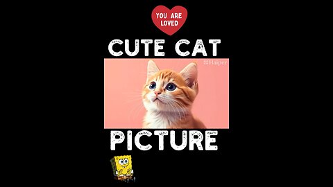 Cute Cat Picture