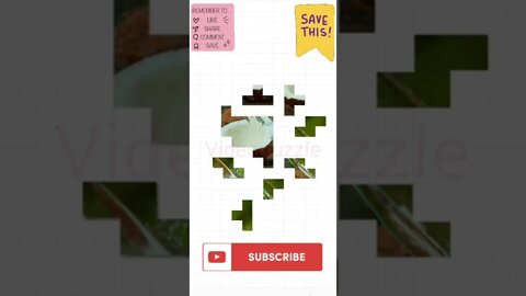 #Videos #Puzzle #VideosPuzzle #Anime #Animation #Shorts