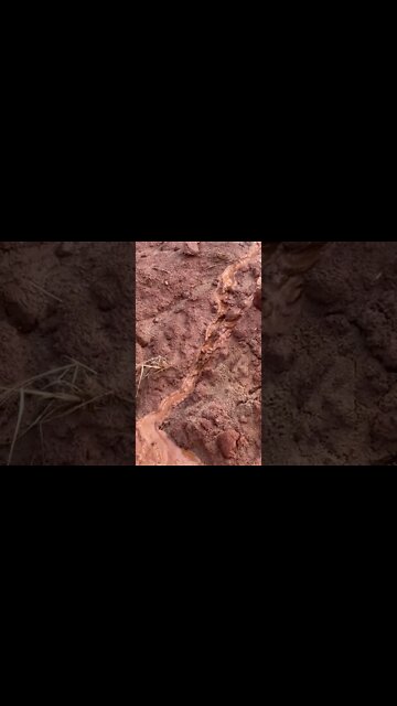 Mud Sliding Down a Hill Looks like a Volcano