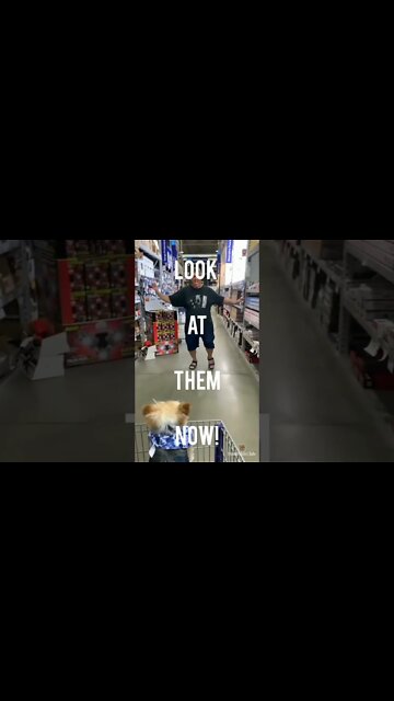 I don't want a small dog he said...