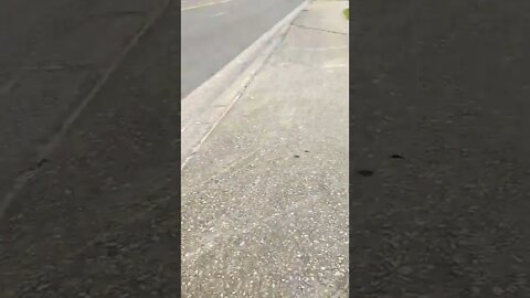 August 5, 2022 #gangstalking blue car. I missed his 1 headlight. Couldn't catch everything.