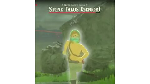 TALUS WINS