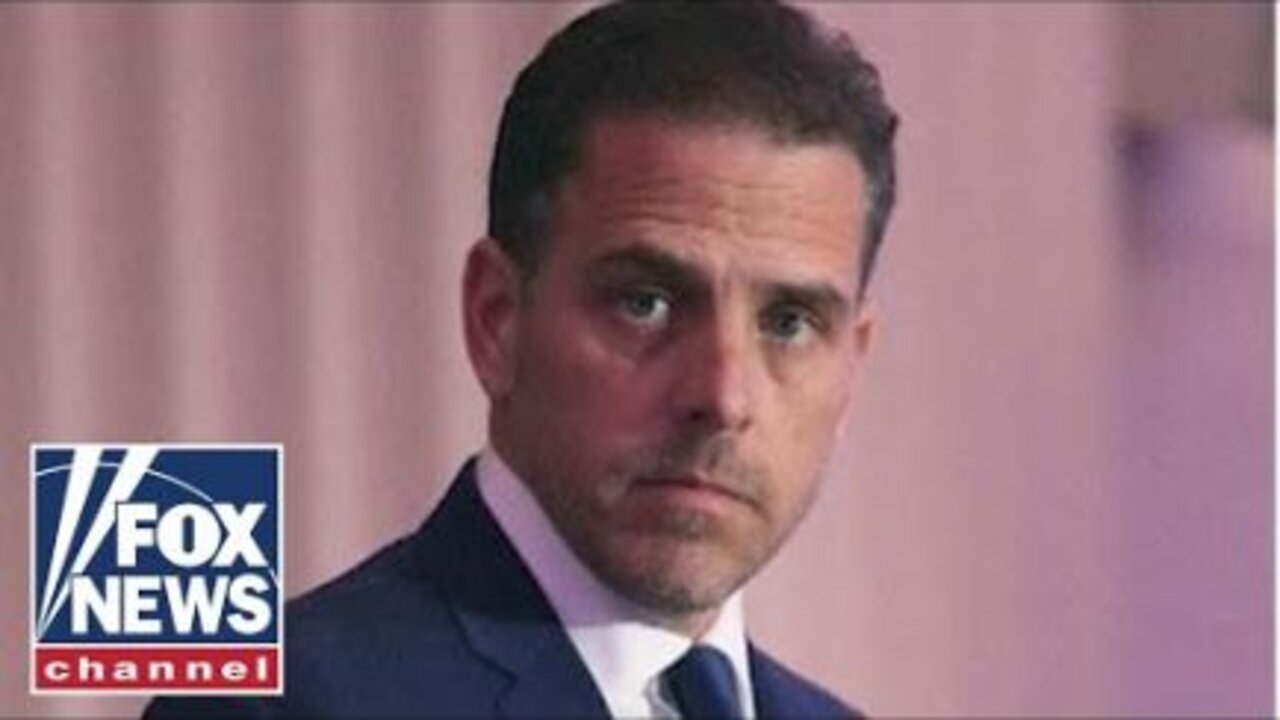 Chris Christie destroys liberal media's Hunter Biden cover-up