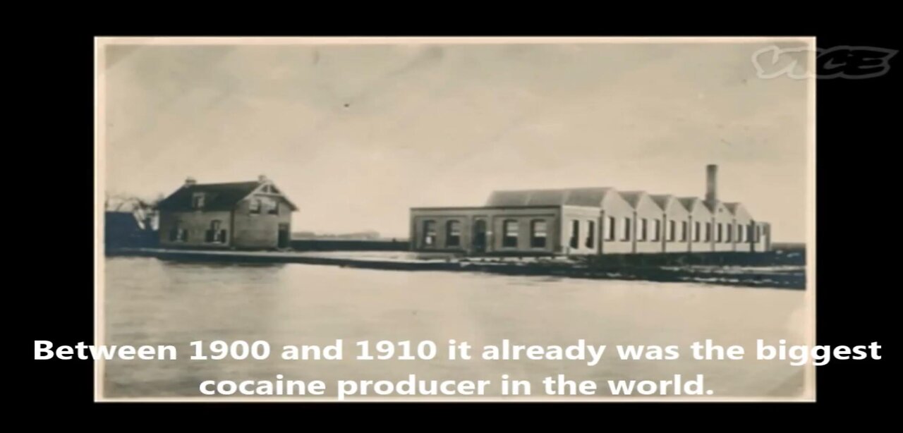 The Royal Dutch Cocaine Factory