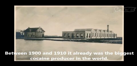 The Royal Dutch Cocaine Factory