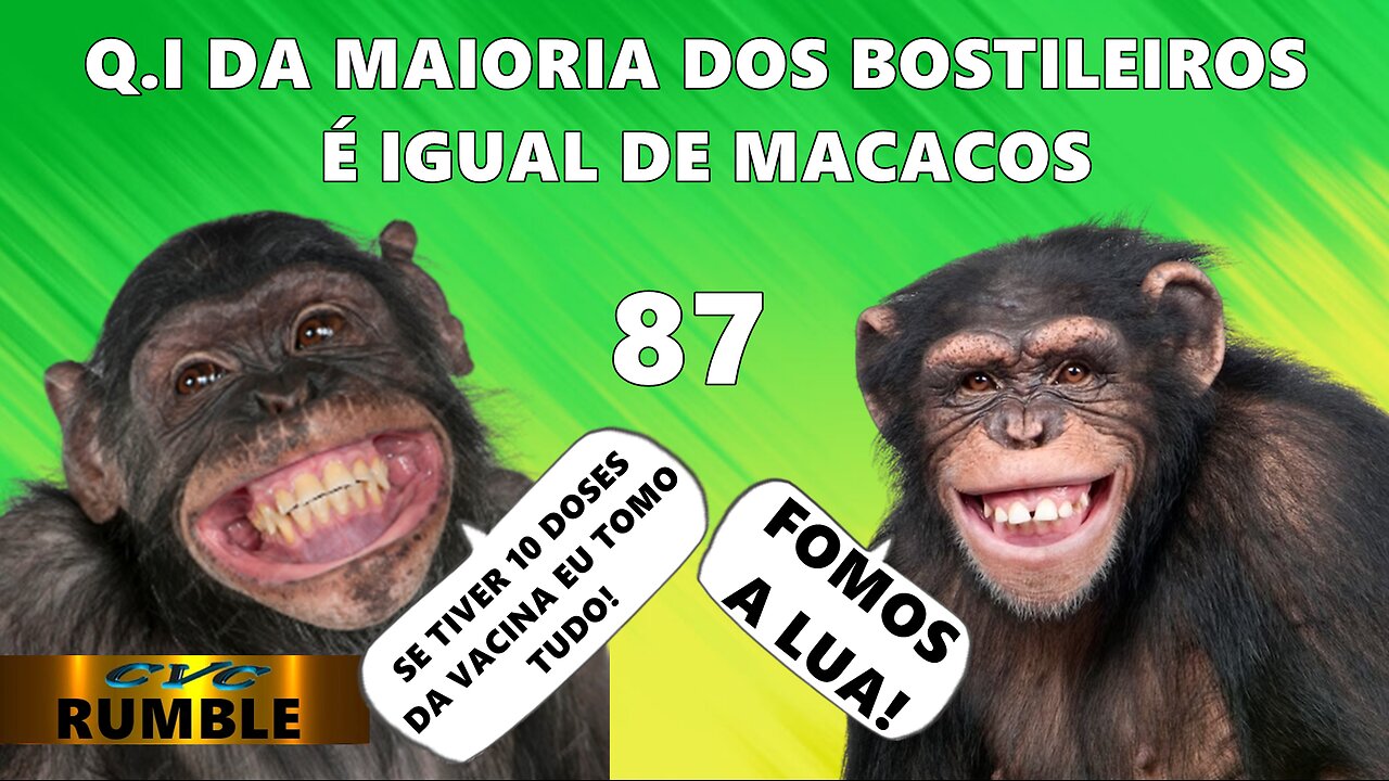 Realmente vivemos no Chimpanzil