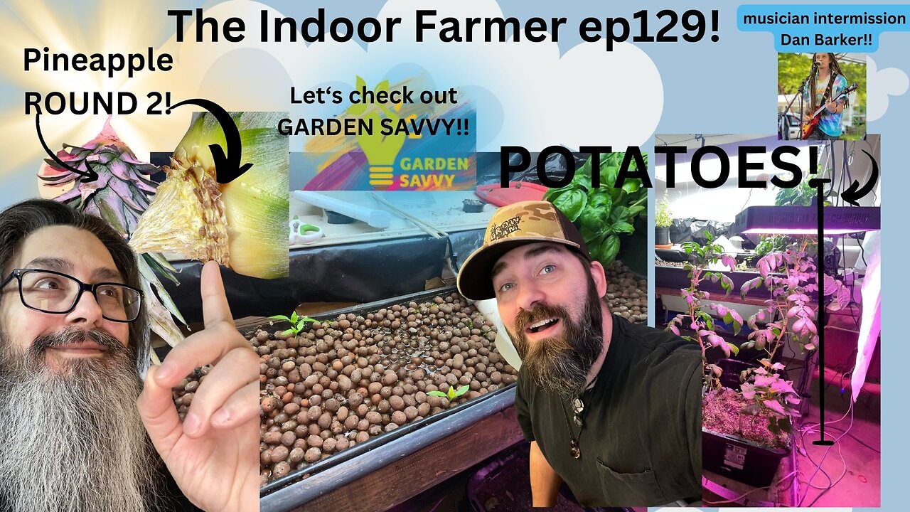 The Indoor Farmer ep129! Round Two Pineapple Attempt + New Garden Savvy App!