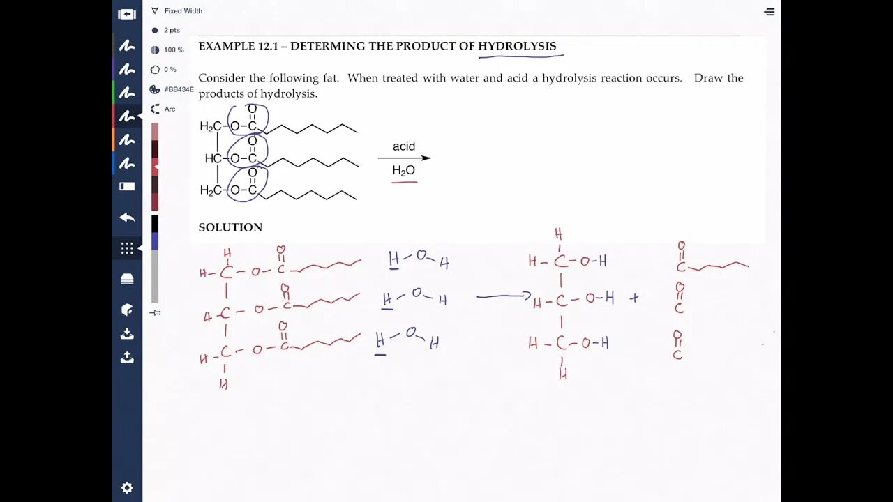 Hydrolysis of Fat (Triacylglycerol) The Chemistry of Lipids Made Easy!