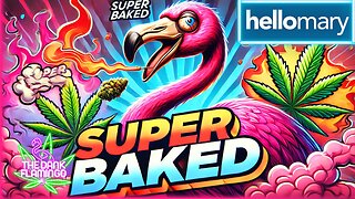 Trying THCa Products from ShopHelloMary! The Dank Flamingo SUPER BAKED Cannabis Review!!