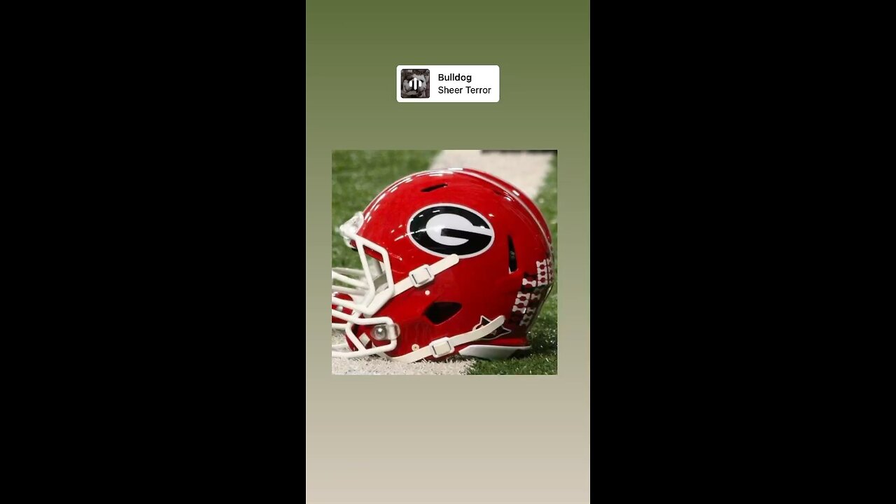 Georgia Bulldogs