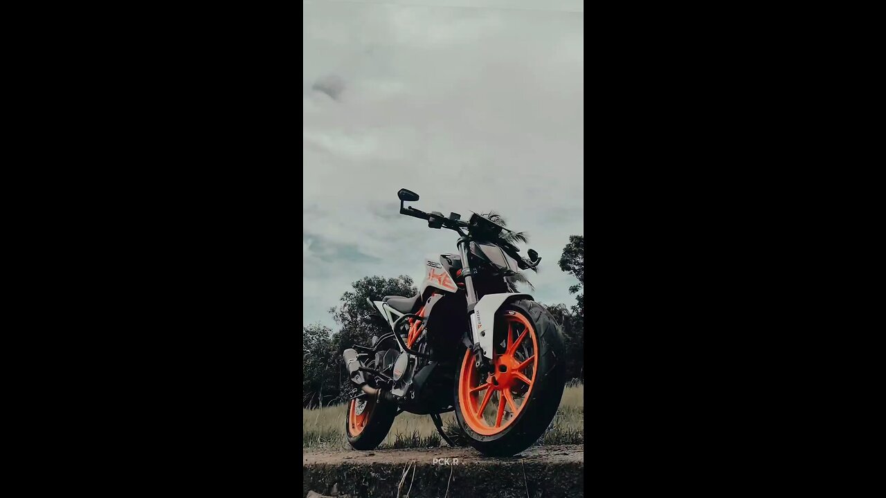 Ktm Duke 390 Bike Rider