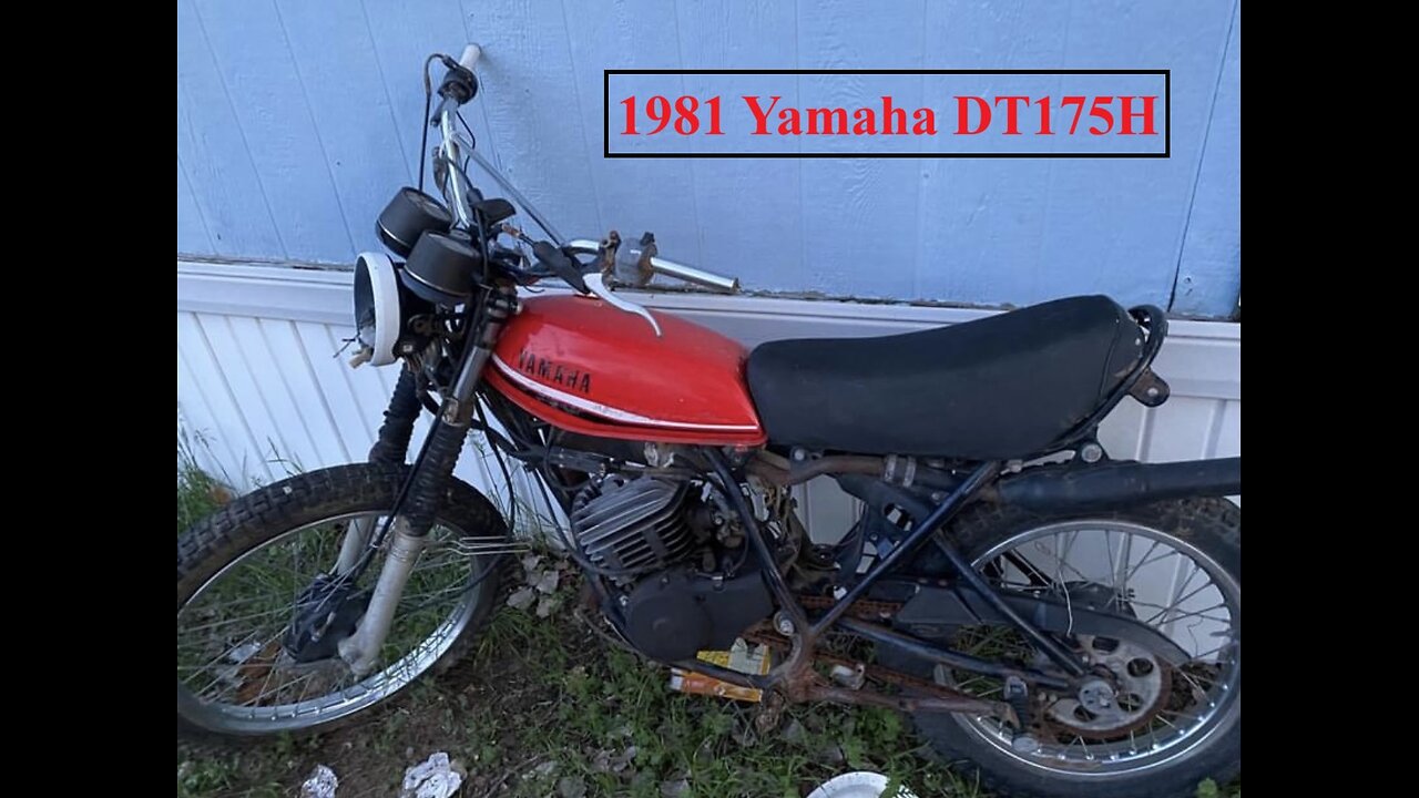 Hunting Yamaha Enduros Episode 4: 1981 Yamaha DT175H