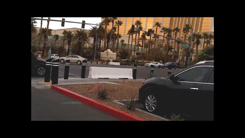 Blunt Trips Promo Want a Lot