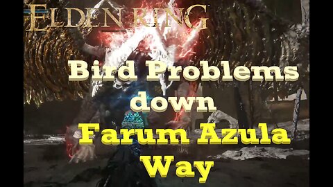 Farum Azula has a bird problem | Elden Ring