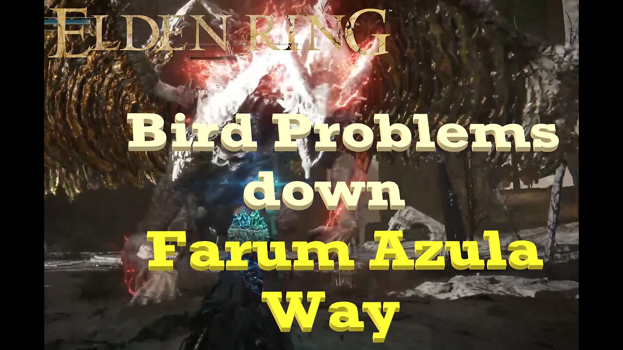 Farum Azula has a bird problem | Elden Ring