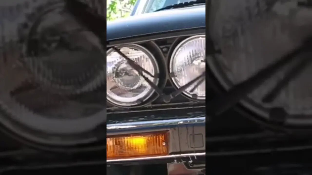 amazing and strange Headlight Wipers