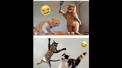 Funny animal video🤣 most funny video 2023