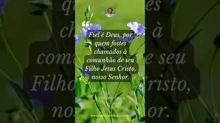 1 Coríntios 1,9 - Fiel é Deus, por quem fostes chamados à comunhão de seu Filho Jesus Cristo, nosso