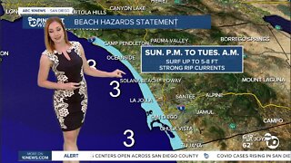 ABC 10News Pinpoint Weather with Meteorologist Leah Pezzetti