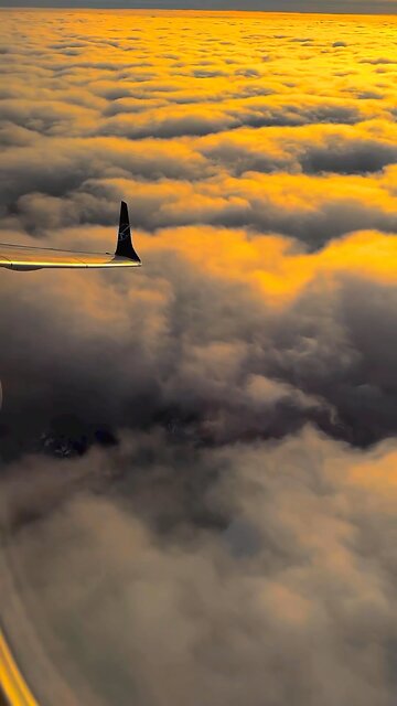 Okay… That’s what’s up! #vibe. 😎✈️