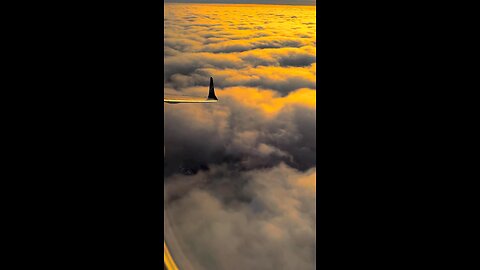 Okay… That’s what’s up! #vibe. 😎✈️