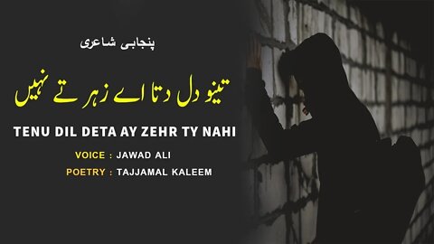 Tajammul Kaleem Poetry Status - Punjabi Poetry Whatsapp Status - Saraiki Shero Shayari Dohray