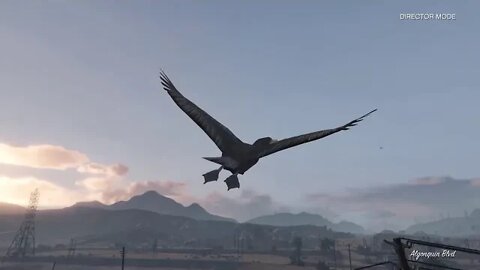 Grand Theft Auto V: Animals
