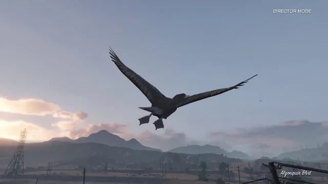 Grand Theft Auto V: Animals
