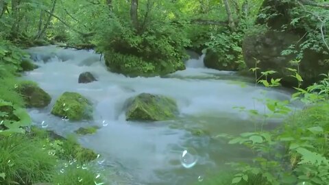 Bliss State. Relaxing Meditation Music, Nature Soundset.