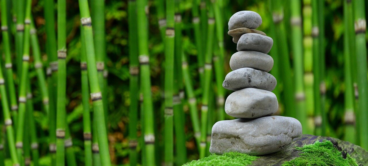 GRATITUDE BASIS OF THE LAW OF ATTRACTION | Rev. Dr. Richard Imprescia