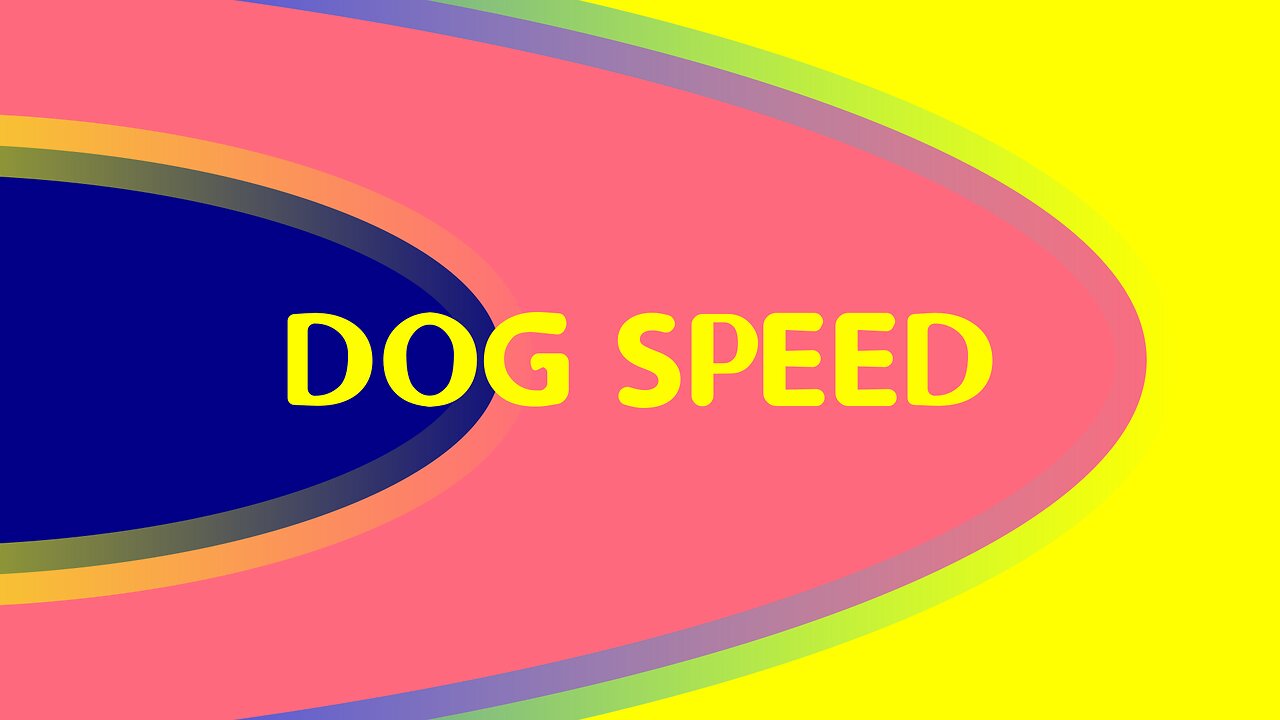 The Speed of Dogs