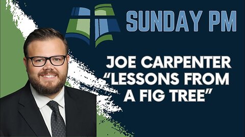 Lessons From A Fig Tree