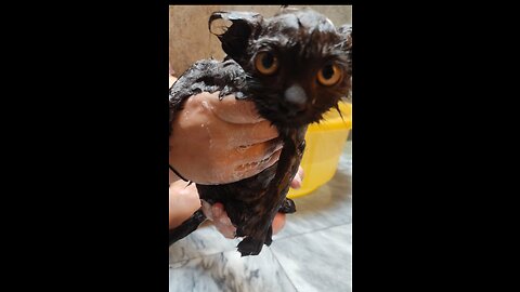 Exhausting Bath