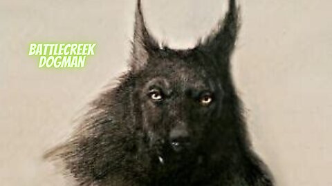 Dogman Cluster at Fort Custer