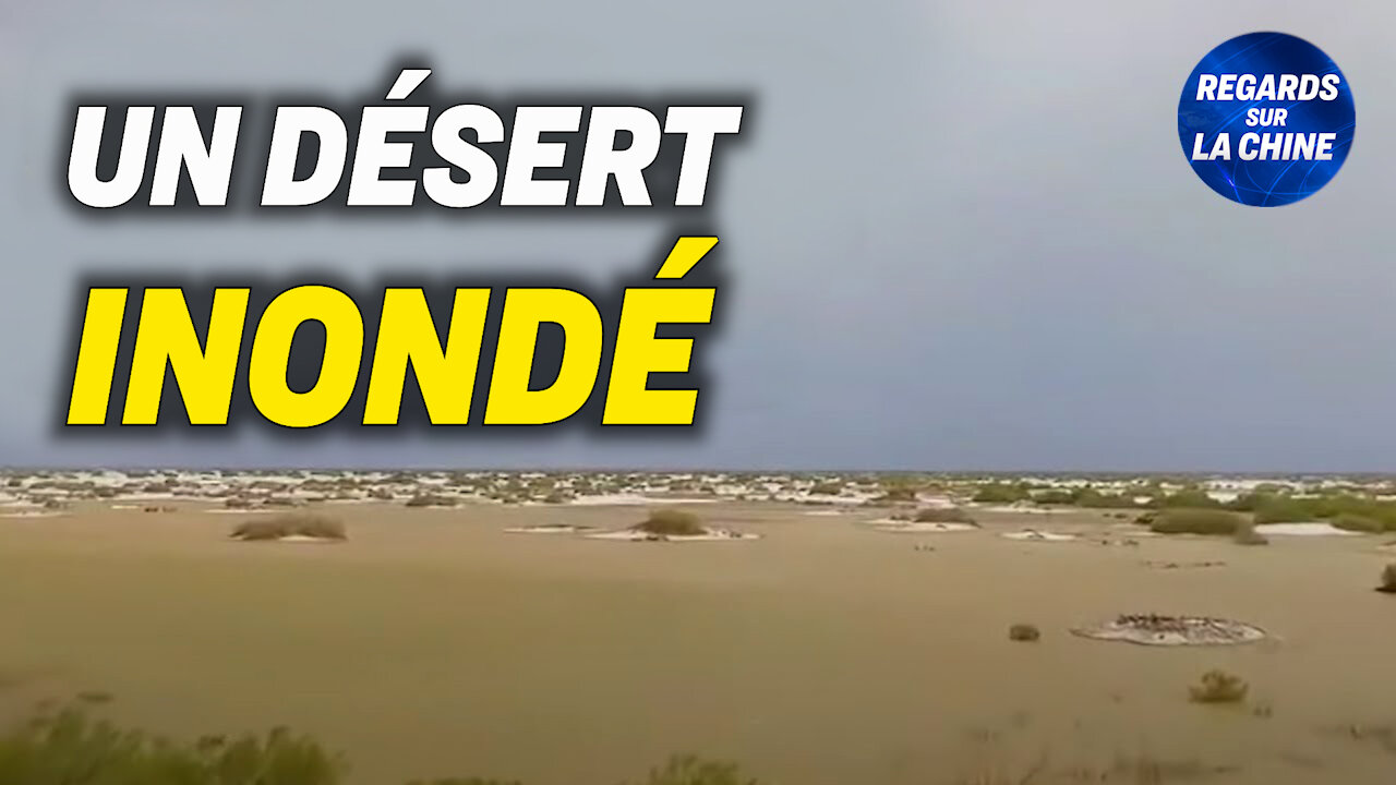 Le plus grand désert de Chine inondé par la pluie ; Enquête sur la réputation du PCC dans le monde