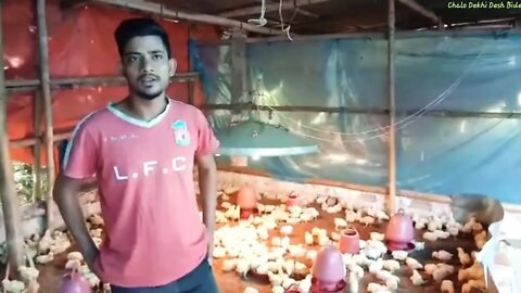পৌল্ট্রী ফার্ম, টিকর পাড়া। Poultry Farm Pt1.Tikar Para.