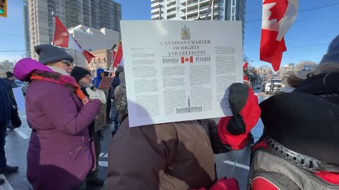 Canadian charter of rights and freedom