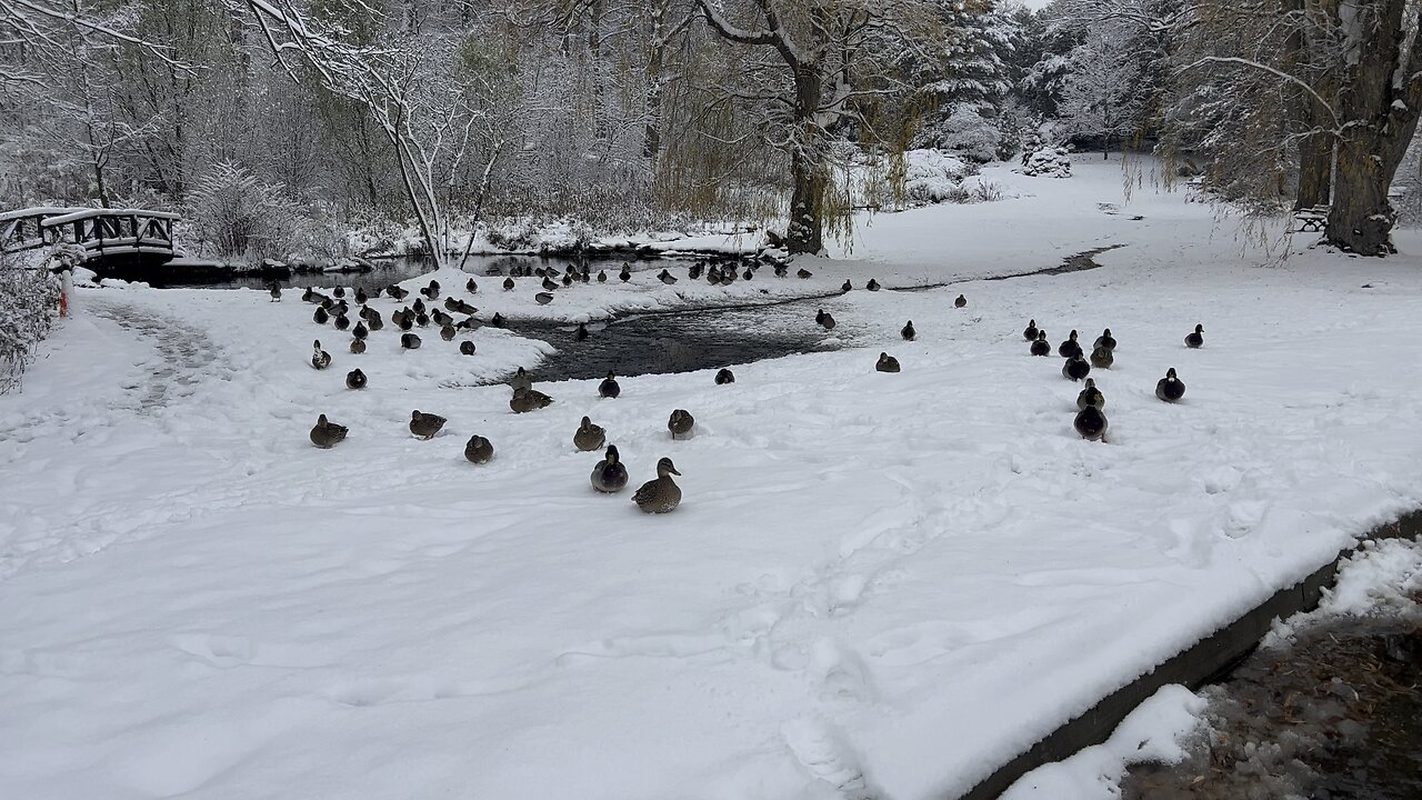 Visiting my budds at James Gardens Toronto