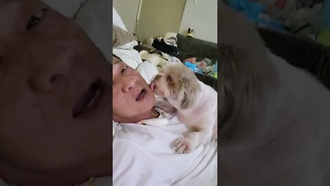 Momo can Yawn on demend