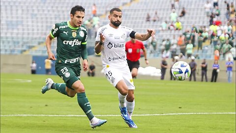 Palmeiras LEVA VIRADA do Santos e PERDE A 3ª SEGUIDA no Brasileirão; Botafogo VENCE o Flu | CANELADA